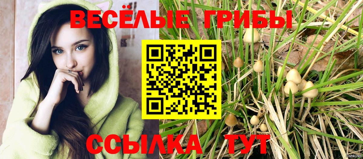 Старая Купавна  Псилоцибиновые грибы мухоморы  Вход с VPN 