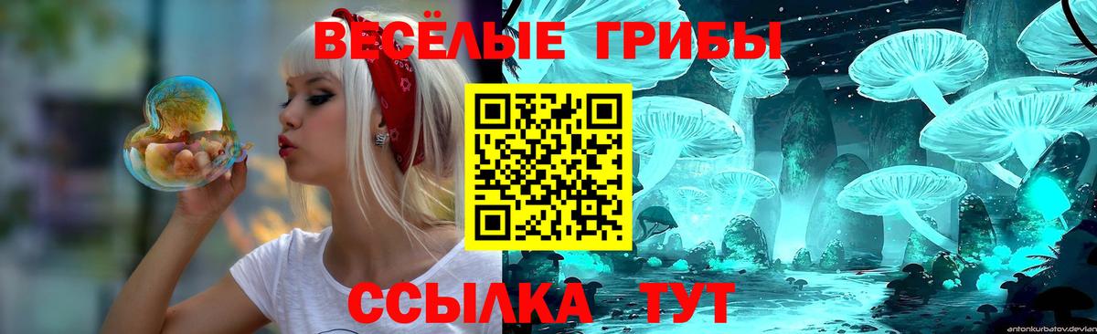 Галлюциногенные грибы Psilocybine cubensis Старая Купавна